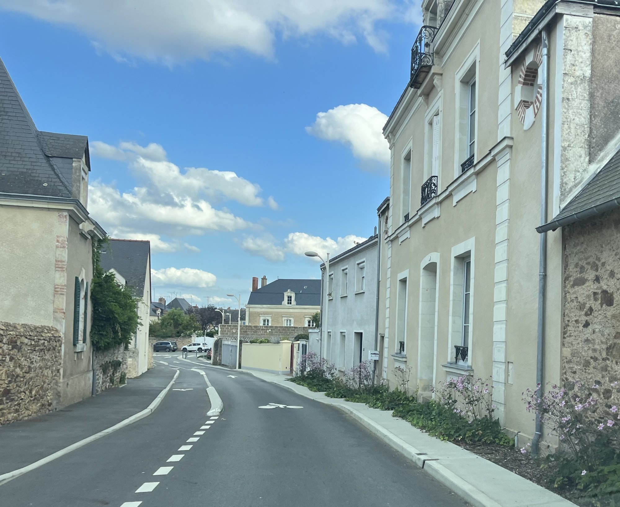 Le Lion D'Angers – Rue de Cholet