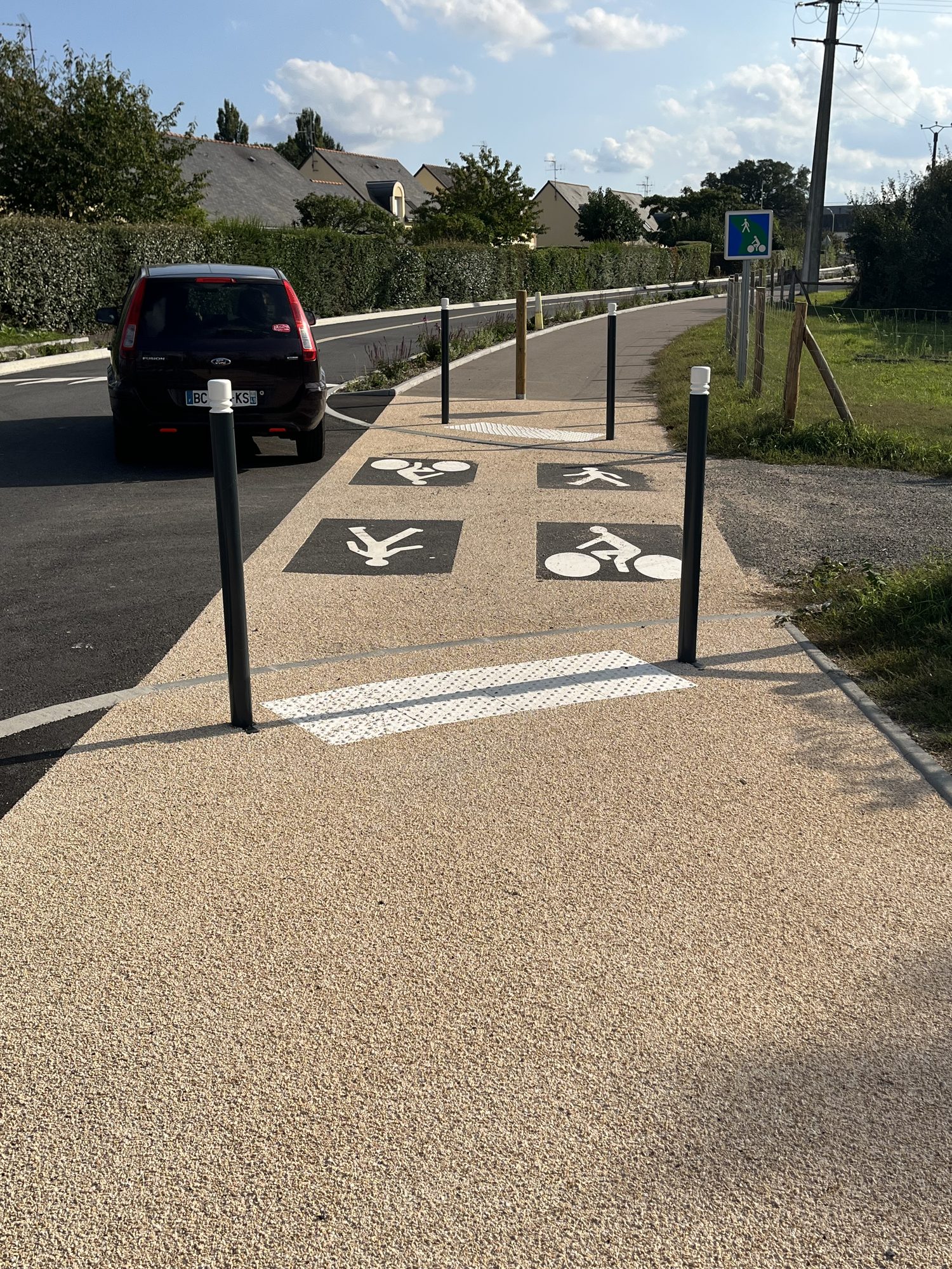 Le Lion D'Angers – Rue du Courgeon