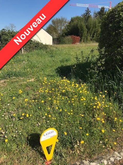 Terrain – Montreuil Sur Loir